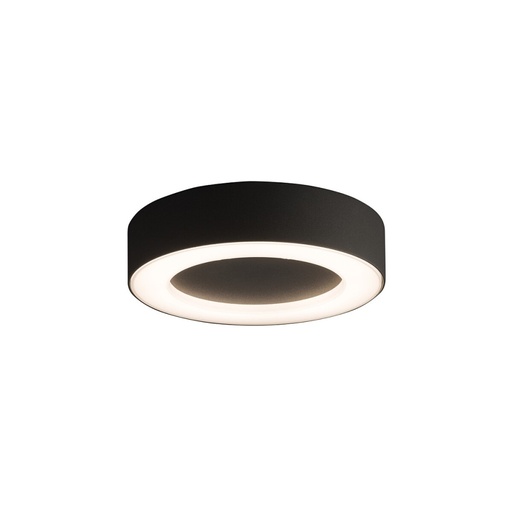 Merida LED Outdoor Wall and Ceiling Light