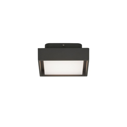 Nexus Outdoor Wall and Ceiling Light
