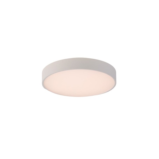 Roma Ceiling and Wall Light