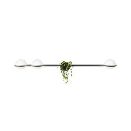 Palma 3706 Wall Light