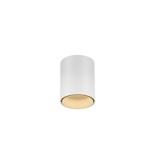 Ray Mini 1.0 LED Ceiling Light