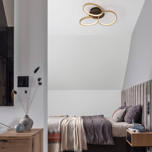 Elize Ceiling Light