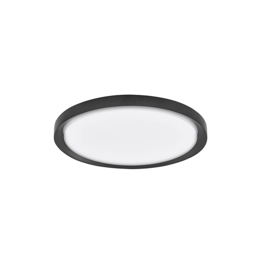 Troy Ceiling Light