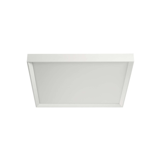 Tara Maxi Wall and Ceiling Light