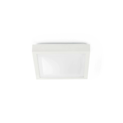 Tola Ceiling and Wall Light      