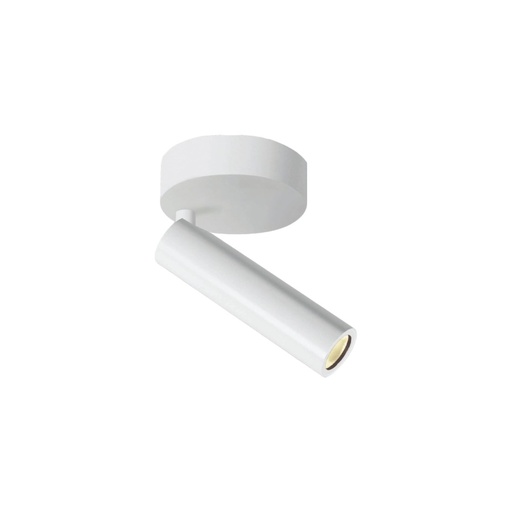 Stylus Wall and Ceiling Light