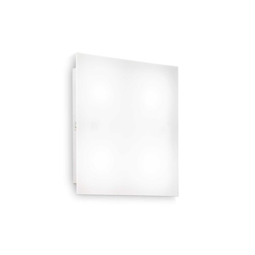 Flat Ceiling and Wall Light