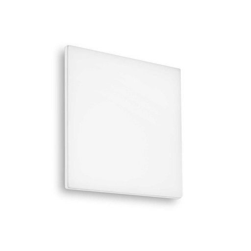 Mib Square Outdoor Wall and Ceiling Light