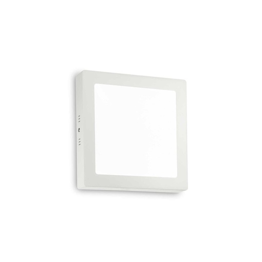 Universal Square Wall and Ceiling Light