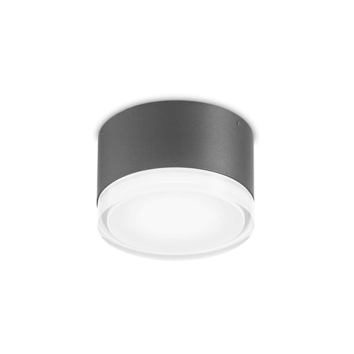 Urano Outdoor Wall and Ceiling Light