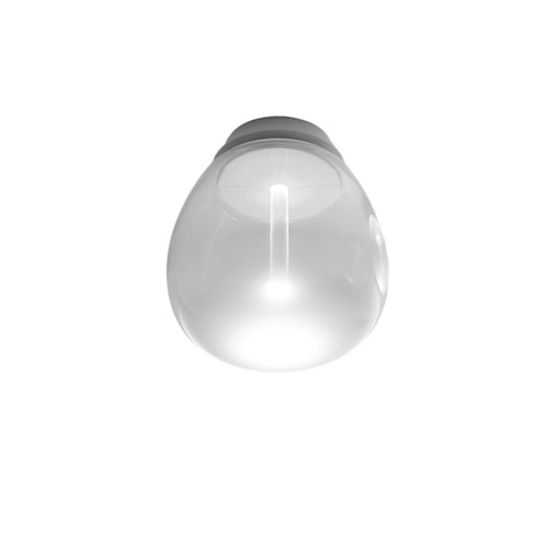 Empatia LED Wall and Ceiling Light