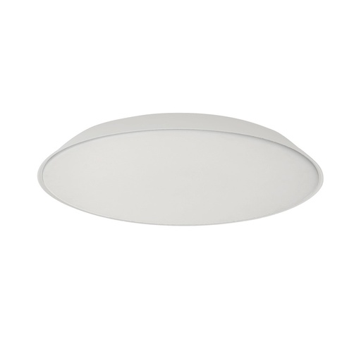 Febe Wall and Ceiling Light