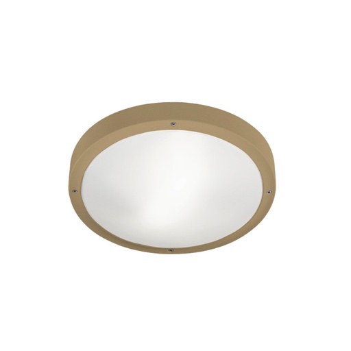 Basic E27 Outdoor Wall and Ceiling Light