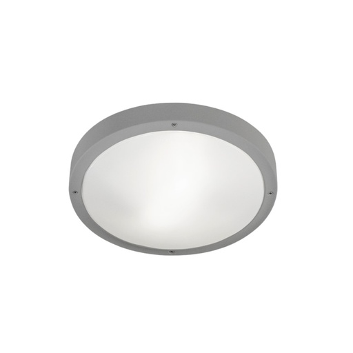 Basic LED Outdoor Wall and Ceiling Light