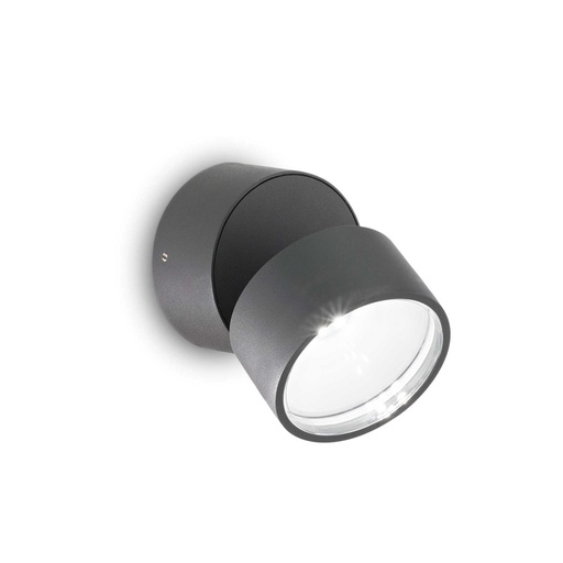 Omega Round Outdoor Wall and Ceiling Light