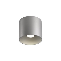 Ray LED Ceiling Light